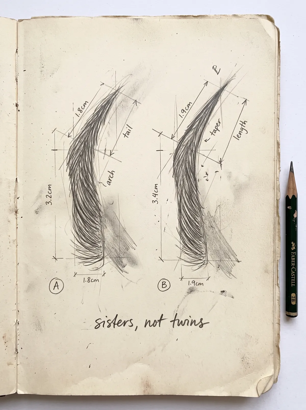Sketchbook page with two pencil brow studies, alike but measured slightly differently, captioned sisters, not twins